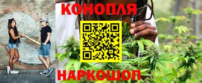 гашиш Кингисепп
