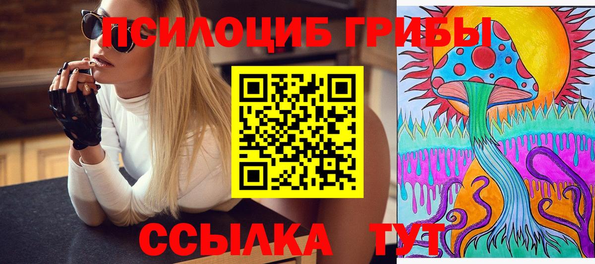 Галлюциногенные грибы Psilocybe Кудымкар
